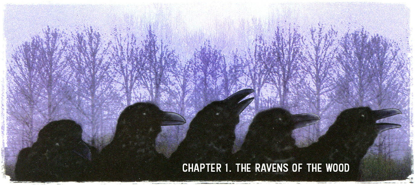 Chapter 1. The Ravens of the Wood